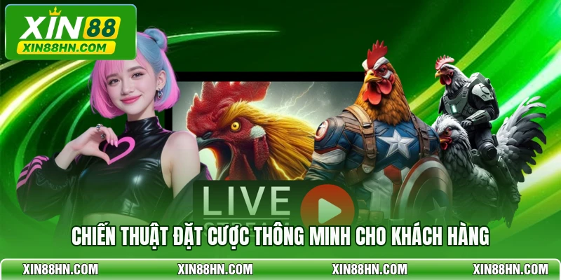 Chiến thuật đặt cược thông minh cho khách hàng