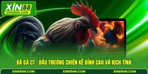 Đá Gà C1 - Đấu Trường Chiến Kê Đỉnh Cao Và Kịch Tính