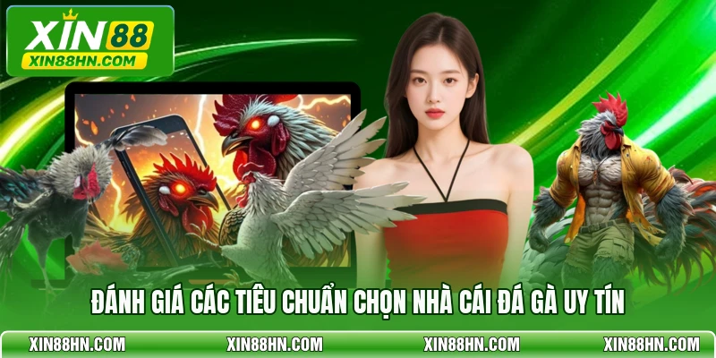 Đánh giá các tiêu chuẩn chọn nhà cái đá gà uy tín