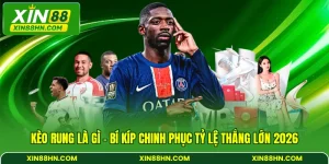 Kèo Rung Là Gì - Bí Kíp Chinh Phục Tỷ Lệ Thắng Lớn 2026
