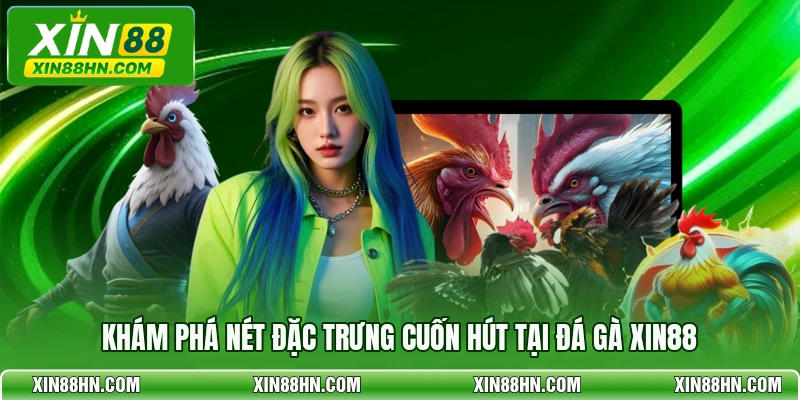 Khám phá nét đặc trưng cuốn hút tại đá gà XIN88