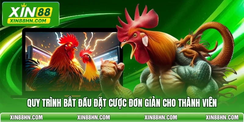 Quy trình bắt đầu đặt cược đơn giản cho thành viên
