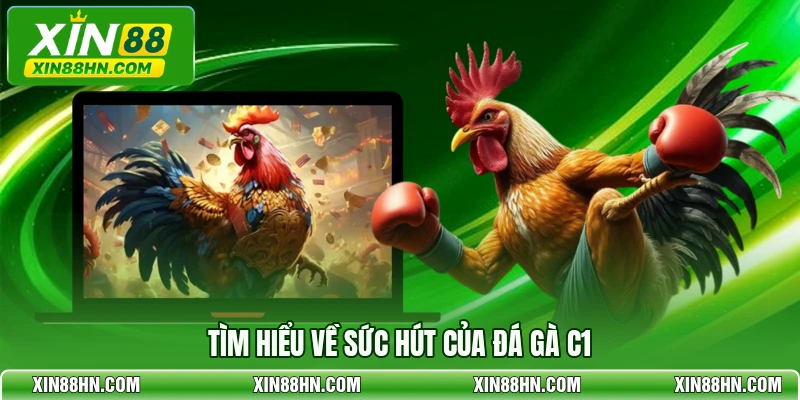 Tìm hiểu về sức hút của đá gà C1
