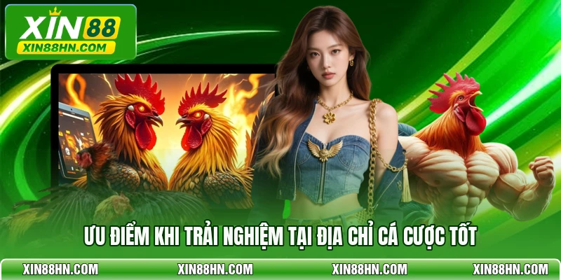 Ưu điểm khi trải nghiệm tại địa chỉ cá cược tốt